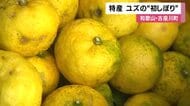 「農家さんが暑さに負けず育てたユズ」　和歌山・古座川の特産ユズの“初しぼり”　ジュースやポン酢に