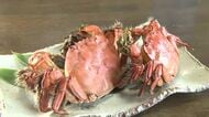 濃厚！みそがクリーミーで上品な甘さ　「モクズガニ」漁が九頭竜川で解禁　「これからもっと濃厚に」永平寺町で味わう旬の味