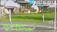 八代市の田んぼに出現した断層調査で新たな発見「秒速約１メートルでずれ動く」【熊本地震】