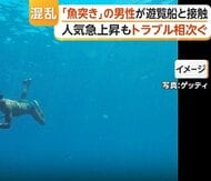 新たな海のレジャー「魚突き」人気の陰でトラブル多発　船と接触事故も　「自治体のルールがバラバラ」も一因か