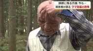 「目ん玉引きちぎられるかと…」クマに襲われた78歳男性が恐怖体験を語る　福井でも連日クマの目撃情報　“出会わない”対策を　