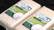 毎月収穫可能!タイ産「コシヒカリ」が日本市場に熱視線 5キロ約2230円で価格割安…小泉農水相「外国産米に店頭の棚とられるの防ぎたい」