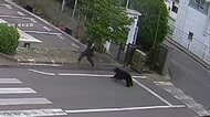クマが出没　4人けがで搬送　建物の中に居座りか　緊急銃猟も視野に警戒続く　福島市