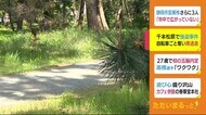 79歳女性を殴り 自転車ごと強奪し逃走 静岡・沼津市