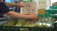 小松菜30円、ミニトマト2パック100円 捨てていた商品が人気者に【福井】