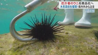 ウニが引き起こす「磯焼け」問題…高校生が駆除ではなく“商品化”に挑戦　注目される“新たな資源としての活用方法”