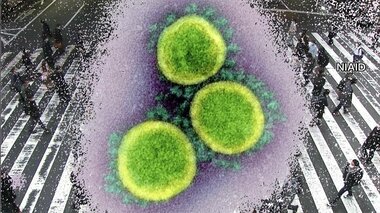 新型コロナ 全国の重症者803人 前日より24人減少
