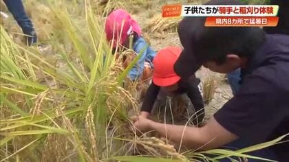 高知競馬の騎手と子どもたちが稲刈り　暑い日差しの中でも笑顔　手作りおにぎり頬張る