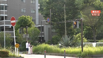 【驚き】横浜の交差点で“ある植物”が突然4、5ｍ伸びる急成長… “数十年に一度の花” まもなく開花か