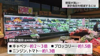 毎日の食卓に欠かせない野菜の高騰が家計を直撃！少しでも負担を減らすコツや今買い時の野菜をバイヤーに聞いた