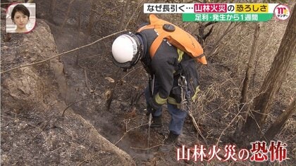 足利・山火事なぜ長引く? 消火を阻む「地表火」…山林火災の本当の恐ろしさを専門家と現場検証