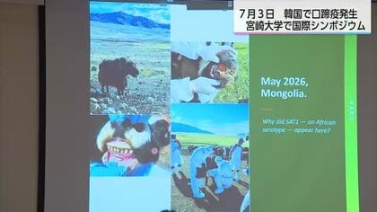 「防疫は一国では難しい」韓国で口蹄疫発生の中　宮崎大学で国際シンポジウム　国境越えた連携の重要性議論