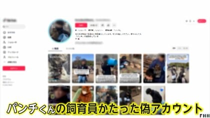 大人気の子猿「パンチくん」偽アカウントで寄付金募る詐欺　フォロワー8万人以上　飼育員装い動画無断使用　不自然な日本語も