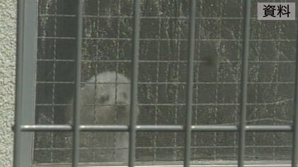 ウクライナ避難民の愛犬に特例…｢検疫緩和｣で致死率100%「狂犬病」のリスクはないの？SNS上で物議