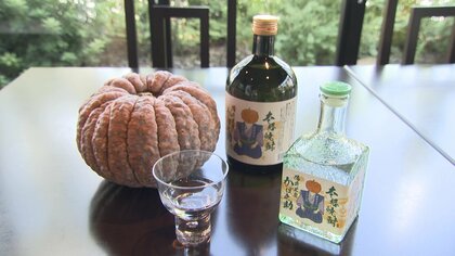 “幻のカボチャ”が焼酎に あっさりとした風味香る味わい 仕込み始まる【岡山発】