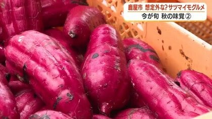 「芋ドッグ」に焼き芋シェイク？　鹿児島・鹿屋の親子が作る想定外のサツマイモグルメ【シリーズ・秋の味覚#2】