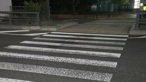 豊洲市場近くの路上で女性が倒れ重体　トラックによるひき逃げか　東京・江東区