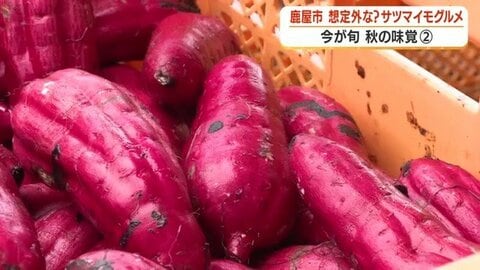 「芋ドッグ」に焼き芋シェイク？　鹿児島・鹿屋の親子が作る想定外のサツマイモグルメ【シリーズ・秋の味覚#2】
