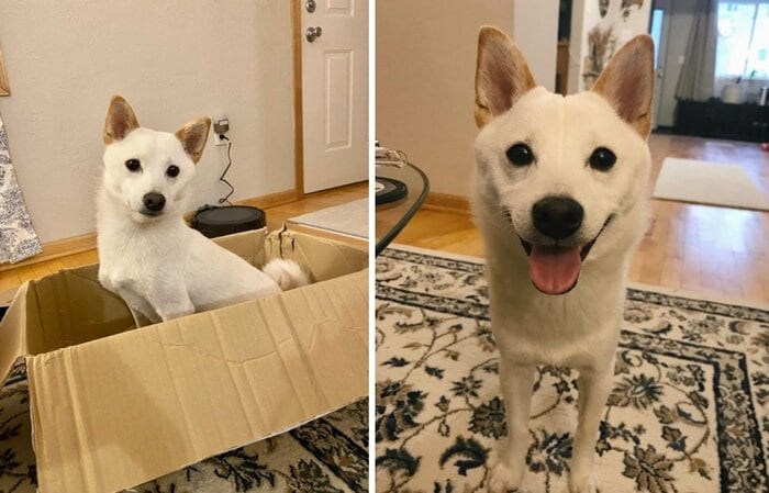 普段のくま君。にこにこ顔もかわいい