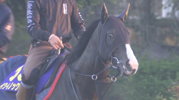 連覇へ挑む”世界最強馬”イクイノックス