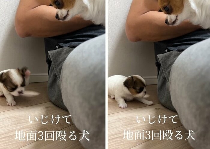 床をバンッ!