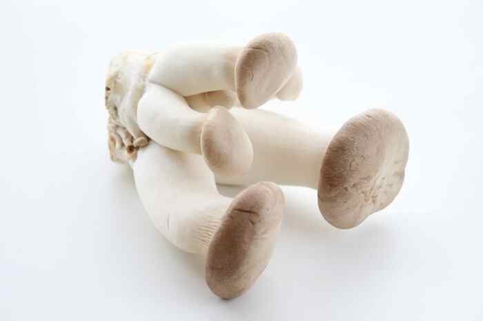 エリンギは脂肪の吸収を抑える働きに注目