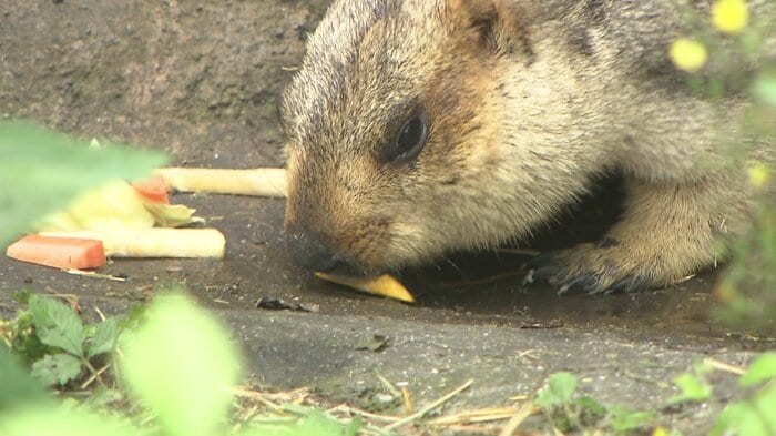 もぐもぐタイム