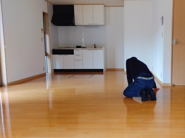 （​9）床のホコリや虫の死骸の掃除