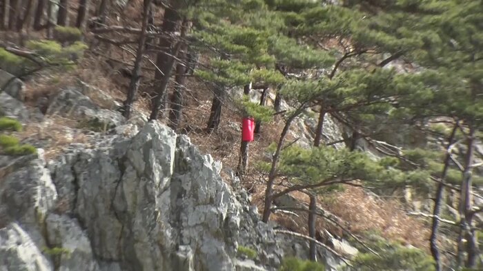 津波の到達地点を示した旗
