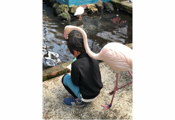 提供:E&Kさん