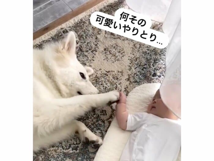 提供:つくしとすずらんさん