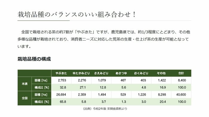 多品種の茶を育てているのも特徴(出典:鹿児島県茶生産協会)