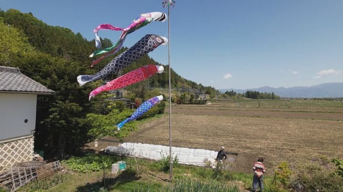 青空の中を泳ぐ輪湖さん宅のこいのぼり(松本市)