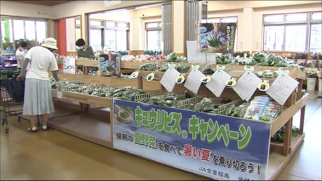日本一の出荷量キュウリで熱中症対策 「キュウリビズ」で残暑を乗り切る!【福島発】