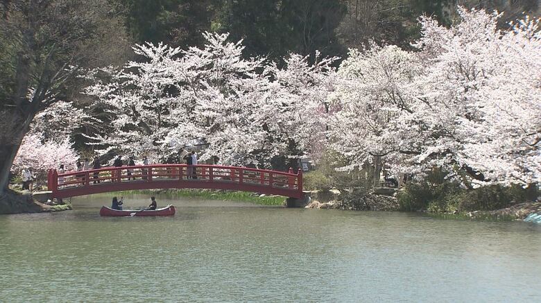 桜の名所・臥竜公園で満開　絶好のお花見日和　名物「黒おでん」求め長い列も　長野・須坂市｜FNNプライムオンライン