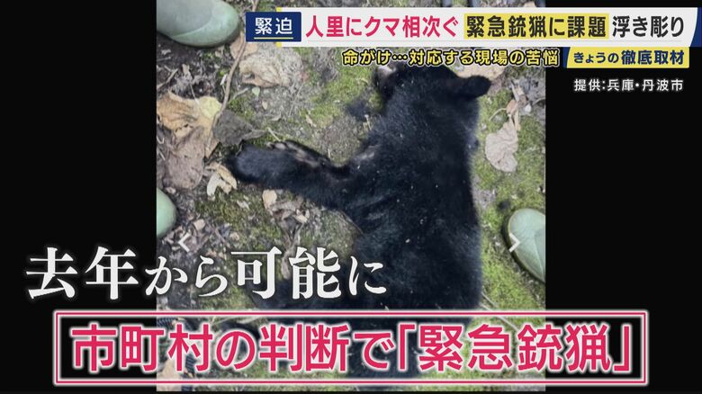 相次ぐクマ出没　人命守る“切り札”「緊急銃猟」に課題　通報から7時間かかったケースも　『1時間40分』で対応した自治体は「ガバメントハンター」が通報から5分以内に出動｜FNNプライムオンライン
