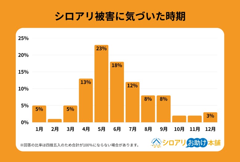 【独自調査】シロアリ被害の54%は梅雨（4～6月）に集中｜被害経験者の51%が「事前に対策していなかった」と回答