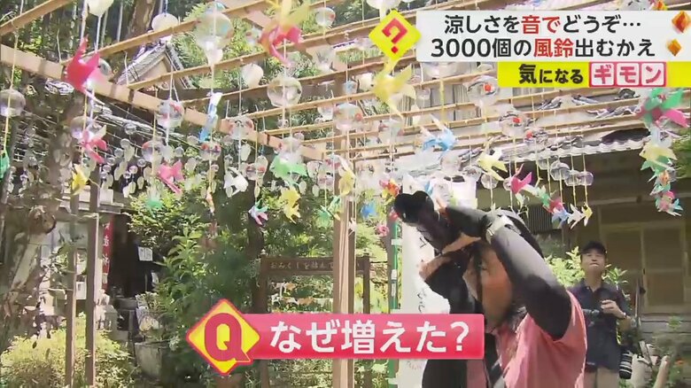 【境内に風鈴3000個の理由】「数にびっくり」当初は300個　参拝客が次々奉納…9年で10倍に　兵庫・佐用町｜FNNプライムオンライン