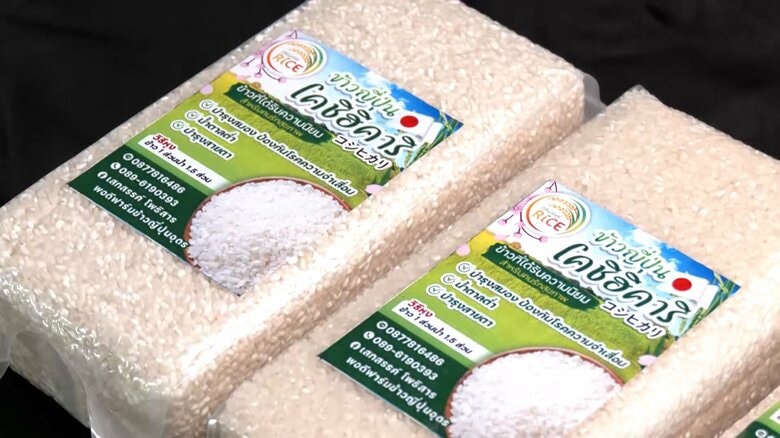 毎月収穫可能！タイ産「コシヒカリ」が日本市場に熱視線　5キロ約2230円で価格割安…小泉農水相「外国産米に店頭の棚とられるの防ぎたい」｜FNNプライムオンライン