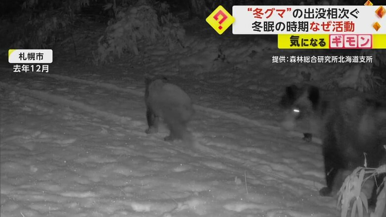 【目を覚ます理由】”冬眠熊”出没報告が相次ぐ…「入山時は十分な注意が必要」　函館では“手足をかまれた”人も　北海道　｜FNNプライムオンライン