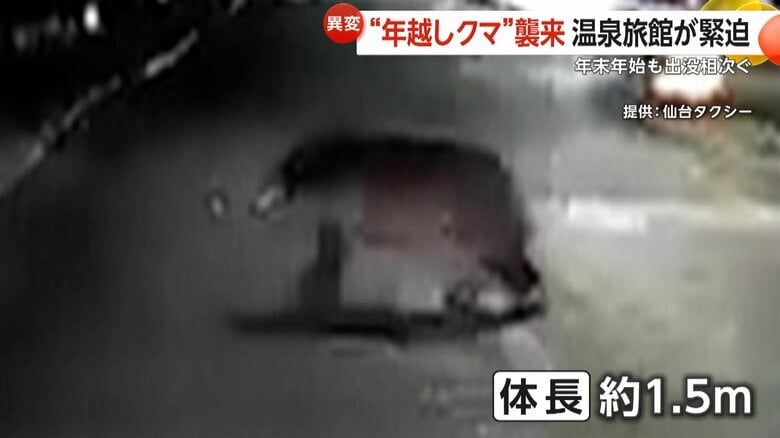 “年越しクマ”襲来…温泉旅館に居座り緊迫　タクシーとあわや衝突・巨大な足跡も　専門家は春先の増加を懸念｜FNNプライムオンライン
