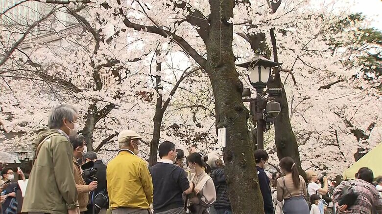 【速報】東京で桜満開　平年より4日早く｜FNNプライムオンライン