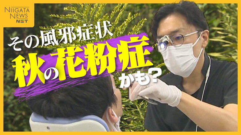 その風邪症状“秋の花粉症”かも？『ブタクサ』『ヨモギ』…“せき”引き起こしやすい雑草系花粉「思っているよりも身近に存在する」｜FNNプライムオンライン
