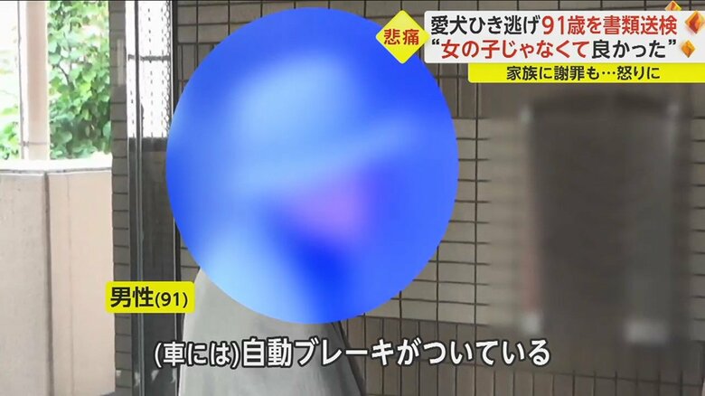「結局ワンちゃんが低いから止まらなかったと思う」