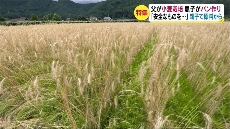 間隔を空けて栽培