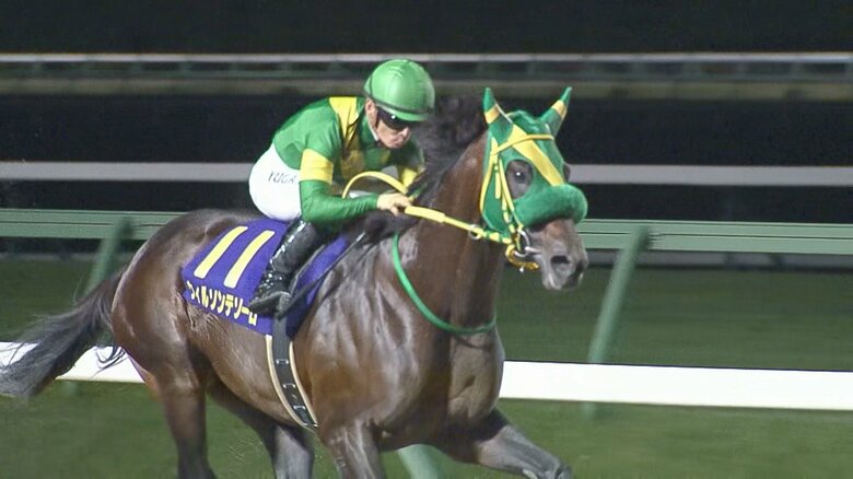 去年の南部杯を制したウィルソンテソーロ