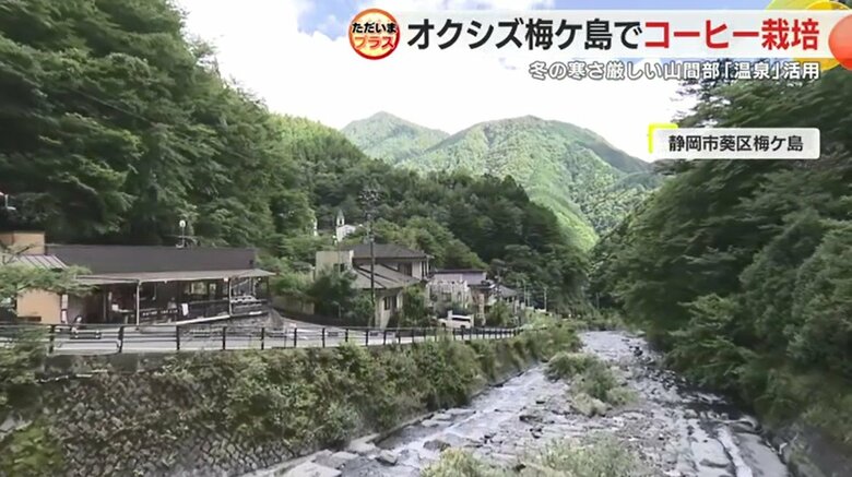 静岡市梅ケ島地区