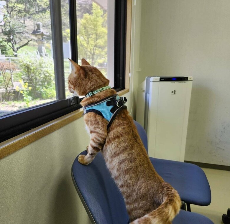 常に警戒は怠らない