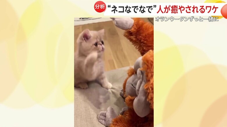 ハイタッチするこまるくん