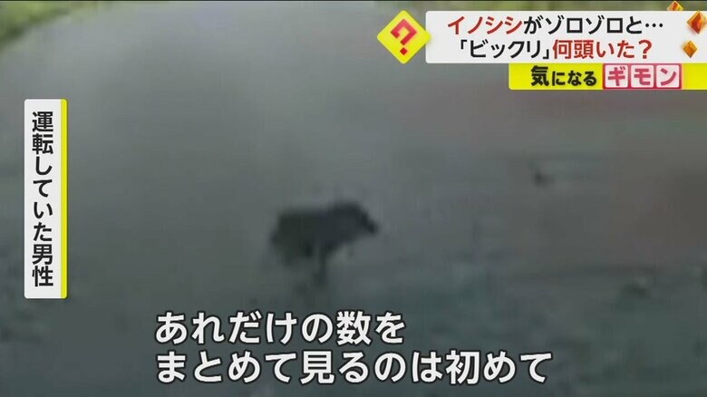 （FNN投稿サイト「ビデオPost」）